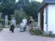 bild0095_small.jpg