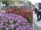 bild0101_small.jpg