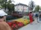 bild0102_small.jpg