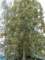 bild0105_small.jpg