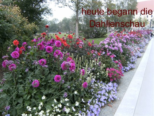 bild0106.jpg