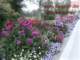 bild0106_small.jpg