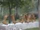 bild0107_small.jpg