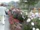 bild0108_small.jpg