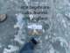 bild0110_small.jpg