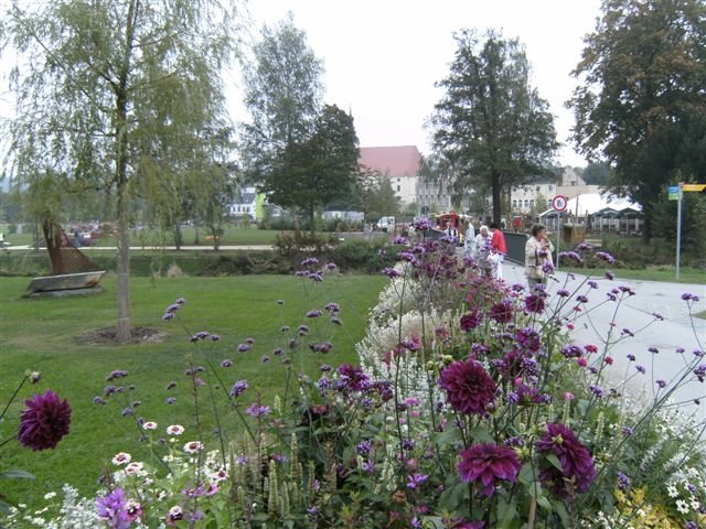 bild0113.jpg