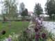 bild0113_small.jpg