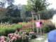 bild0121_small.jpg