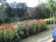 bild0122_small.jpg