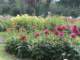 bild0123_small.jpg