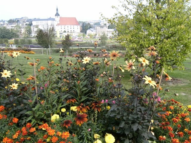 bild0130.jpg
