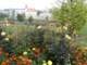 bild0130_small.jpg