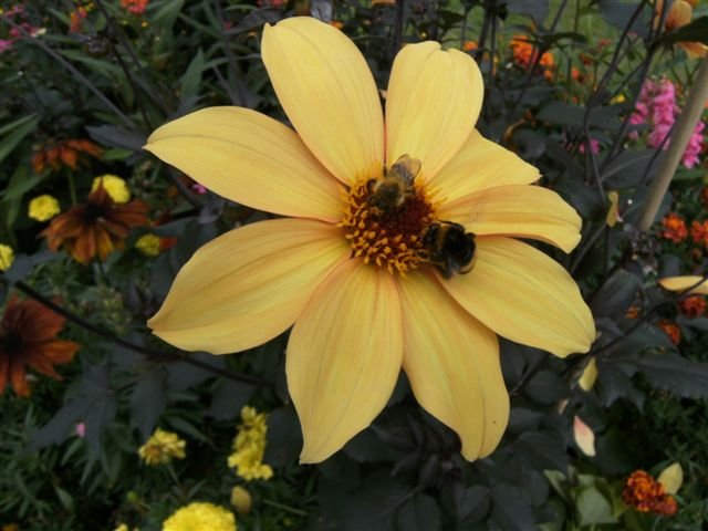 bild0131.jpg