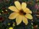 bild0131_small.jpg