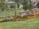 bild0137_small.jpg