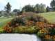 bild0139_small.jpg