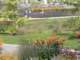 bild0141_small.jpg