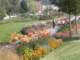 bild0142_small.jpg