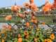 bild0144_small.jpg