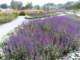 bild0153_small.jpg
