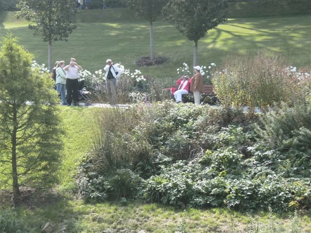bild0155.jpg