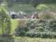 bild0155_small.jpg