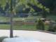 bild0156_small.jpg