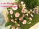 bild0159_small.jpg