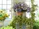 bild0162_small.jpg