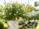 bild0163_small.jpg