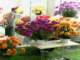 bild0166_small.jpg