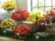 bild0167_small.jpg
