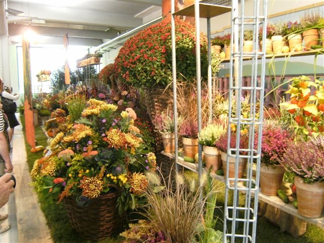 bild0168.jpg