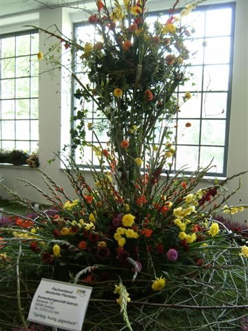 bild0176.jpg