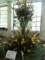 bild0176_small.jpg