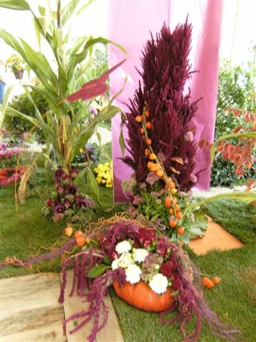bild0178.jpg