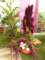 bild0178_small.jpg
