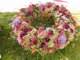 bild0179_small.jpg