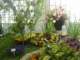 bild0180_small.jpg