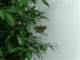 bild0187_small.jpg