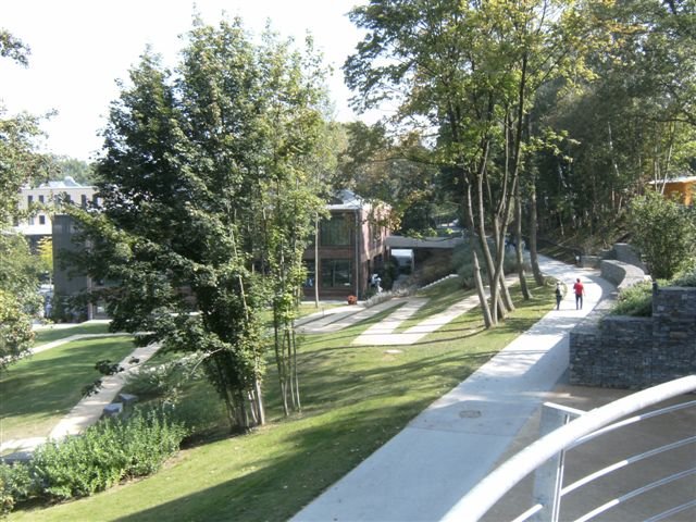 bild0195.jpg