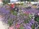 bild0199_small.jpg