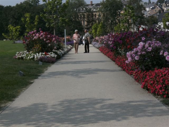 bild0200.jpg