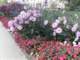 bild0202_small.jpg
