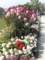 bild0203_small.jpg