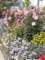 bild0205_small.jpg