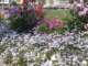 bild0206_small.jpg