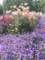 bild0207_small.jpg