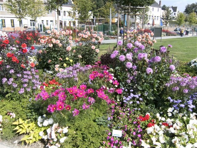 bild0213.jpg