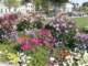 bild0213_small.jpg